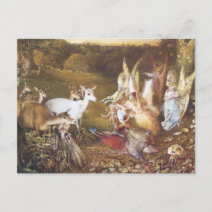 Vintage Fairy The Enchanted Forest Postcard