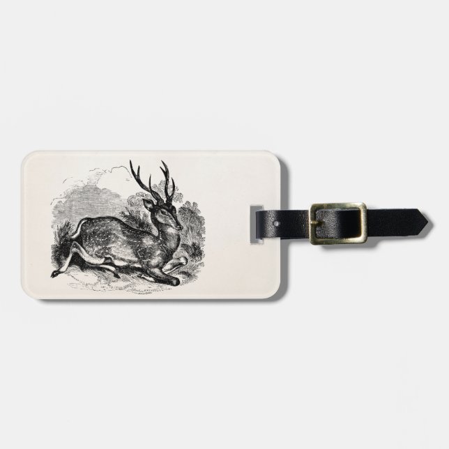 Vintage Fallow Deer Buck Personalised Illustration Luggage Tag (Front Horizontal)
