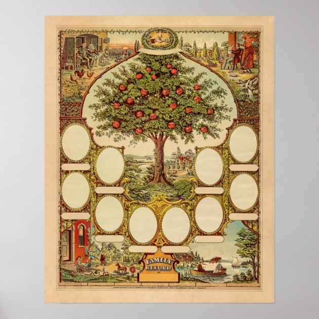 Vintage Family Tree Poster | Zazzle