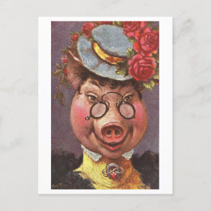 Vintage Fancy Pig Postcard