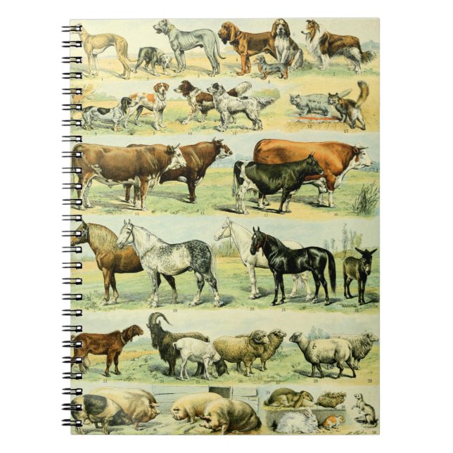 Vintage Farm Animal Print Notebook (Front)