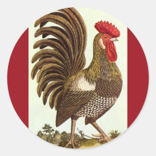 Vintage Farm Animals Chickens, Proud Rooster Classic Round Sticker