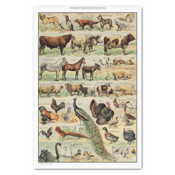 Vintage Farm Animals Decoupage Tissue Paper Zazzle