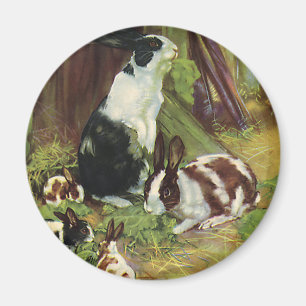 Vintage Farm Animals, Pet Rabbits Playing by Hutch Magnet