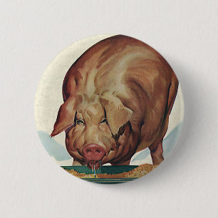 Vintage Farm Animals, Pig Eating Slop at a Trough 6 Cm Round Badge