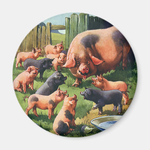 Vintage Farm Animals, Pig with Cute Baby Piglets Magnet