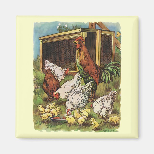 Vintage Farm Animals, Rooster, Hens, Chickens Magnet (Front)