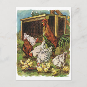 Vintage Farm Animals, Rooster, Hens, Chickens Postcard