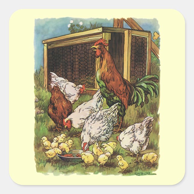Vintage Farm Animals, Rooster, Hens, Chickens Square Sticker (Front)