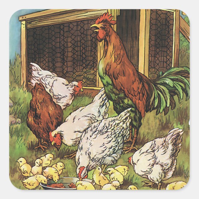 Vintage Farm Animals, Rooster, Hens, Chickens Square Sticker (Front)