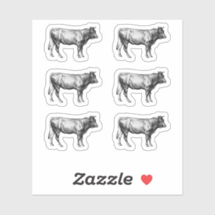Vintage Farm Cow Bull Image
