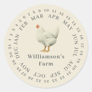 973 EXTRA LARGE PHOTO HEN DO Personalised Stickers BRIDE PARTY Chicken GLOSSY 