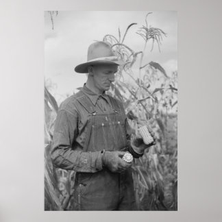 Vintage Farm Security Administration Print