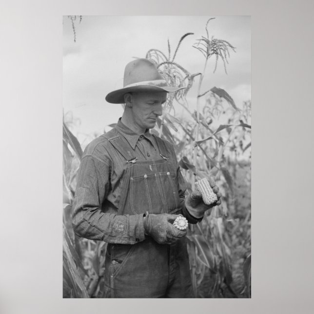 Vintage Farm Security Administration Print (Front)