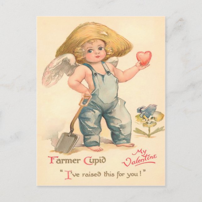 Vintage Farmer Cupid Valentine Postcard (Front)