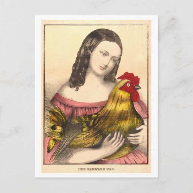 Vintage Farmer's Pet Rooster Postcard (Front)