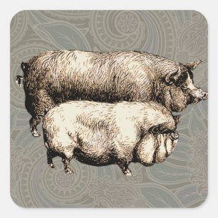 Vintage Farmhouse Pig Country Antique Livestock Square Sticker