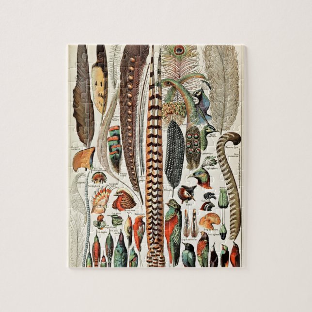 Vintage Feathers Birds Old Illustration Art Jigsaw Puzzle (Vertical)