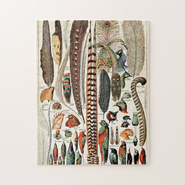 Vintage Feathers Birds Old Illustration Art Jigsaw Puzzle (Vertical)