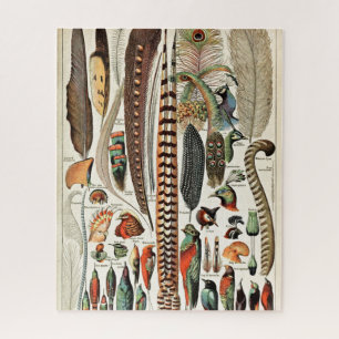 Vintage Feathers Birds Old Illustration Art Jigsaw Puzzle