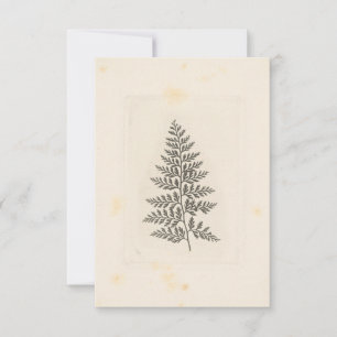 Vintage Fern Correspondence Woodland Forest Nature Card