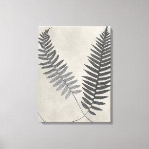 Vintage Ferns Canvas Print
