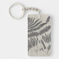 Vintage Ferns