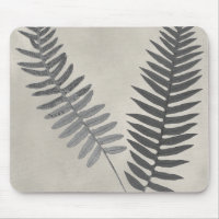 Vintage Ferns