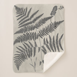 Vintage Ferns Sherpa Blanket