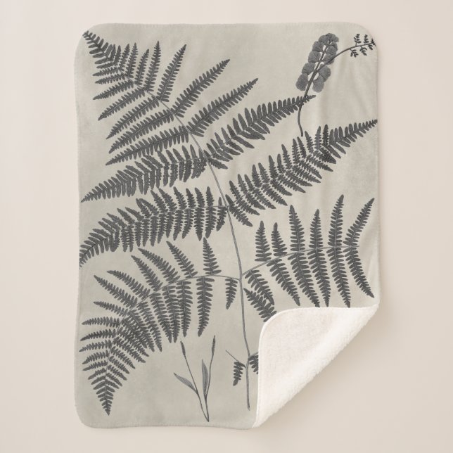 Vintage Ferns Sherpa Blanket (Front)