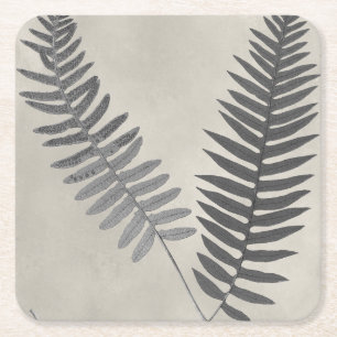 Vintage Ferns Square Paper Coaster