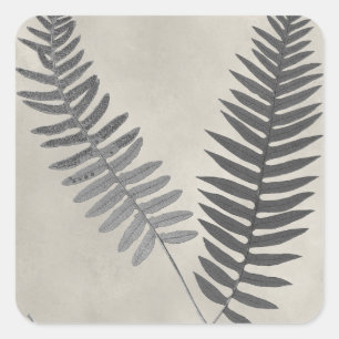 Vintage Ferns Square Sticker