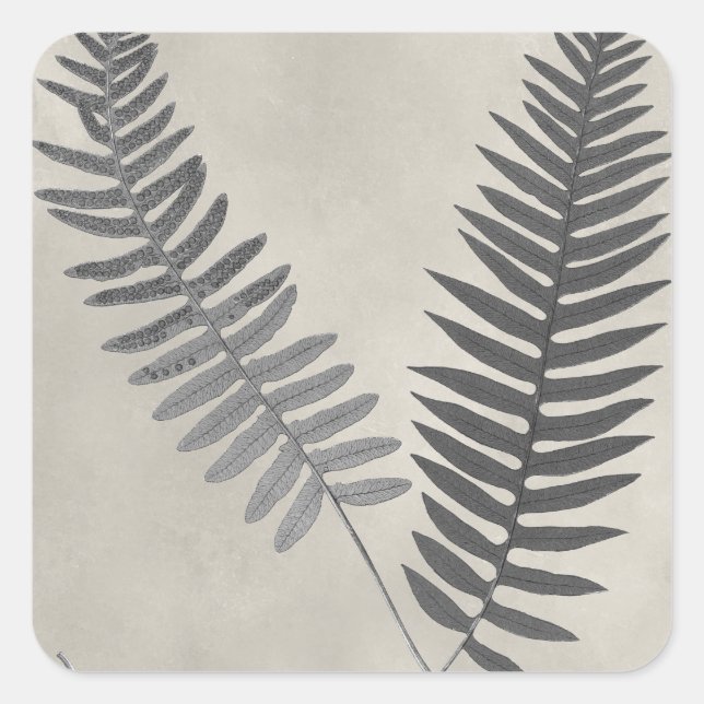 Vintage Ferns Square Sticker (Front)