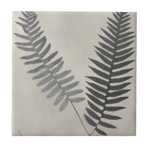 Vintage Ferns Tile