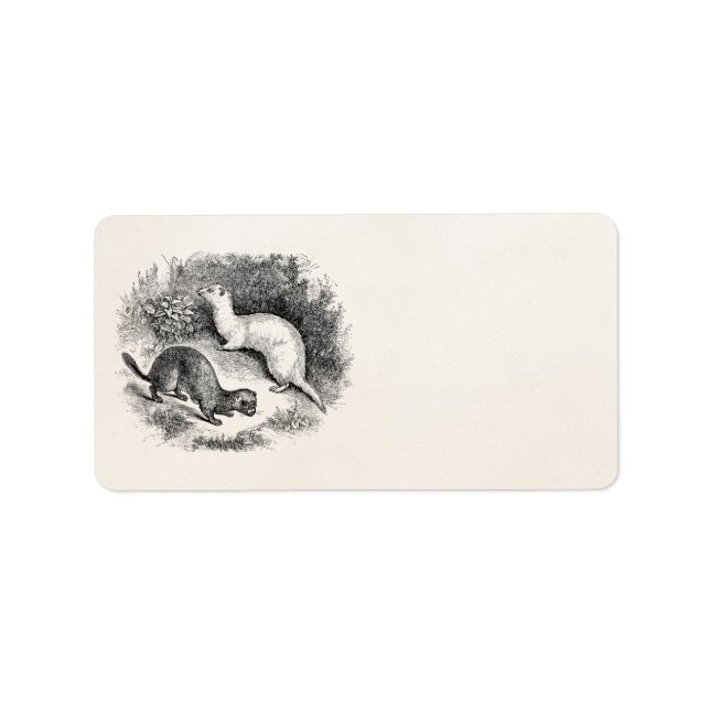 Vintage Ferret 1800s Ferrets Weasels Minks Label (Front)