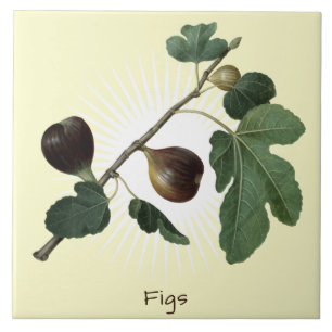 Vintage Fig Fruit Botanical Art  Ceramic Tile