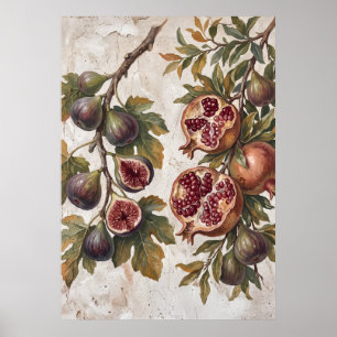 Vintage Fig Pomegranate Art Poster
