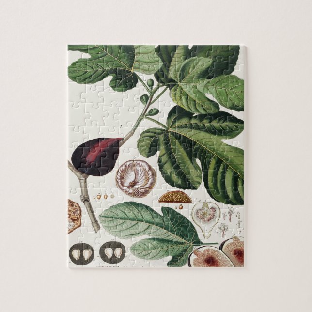 Vintage Figs Botanical Print Jigsaw Puzzle (Vertical)
