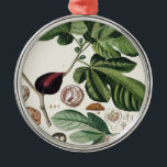 Vintage Figs Botanical Print Metal Tree Decoration<br><div class="desc">Vintage style design,  in botanical print of figs. Perfect gift for yourself,  your loved one,  and those looking for something vintage,  country and rustic.</div>