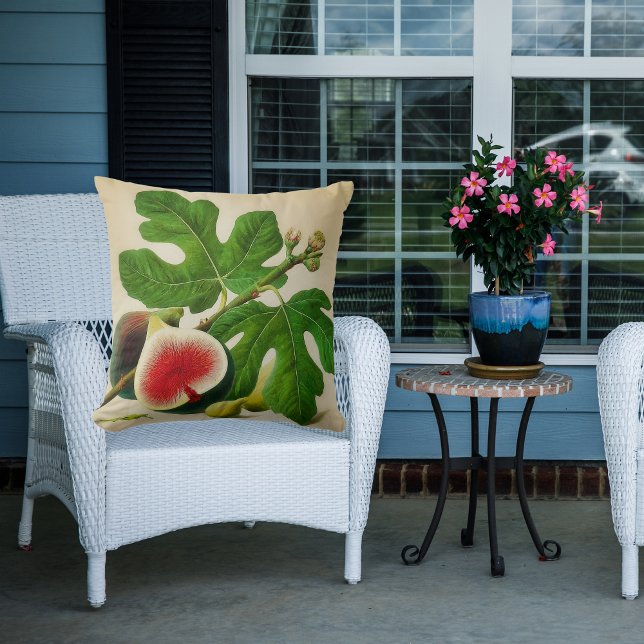 vintage figs  cushion (Creator Uploaded)