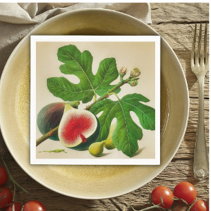 Vintage figs  napkin