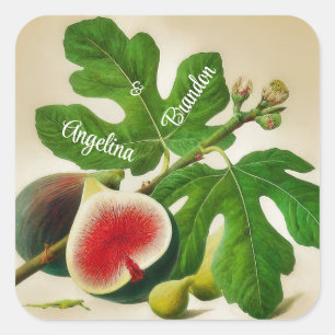 Vintage figs wedding Personalised Square Sticker