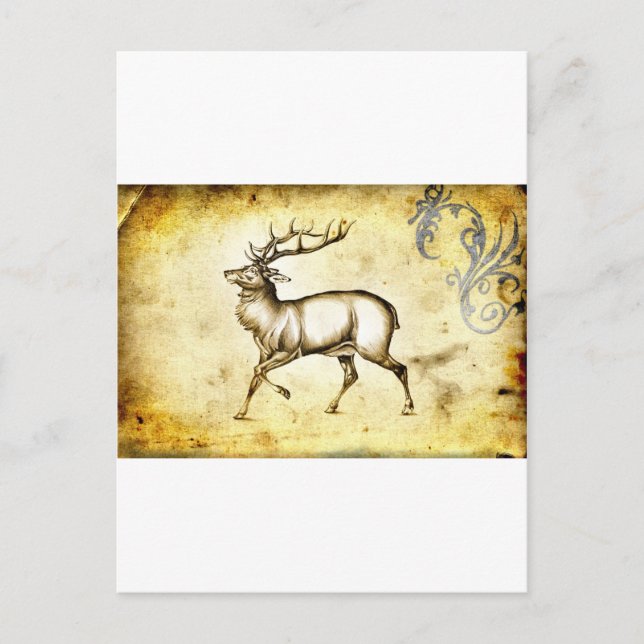 Vintage fineart F076 deer Postcard (Front)