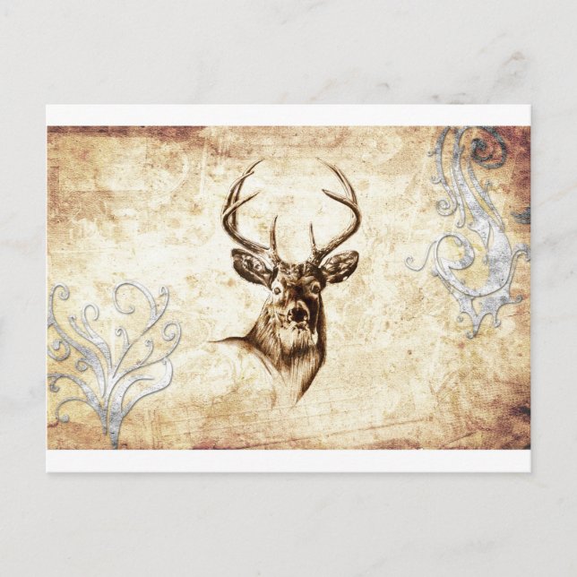 Vintage fineart F078 deer Postcard (Front)