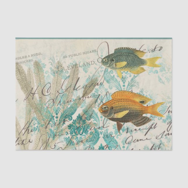 Vintage Fish Ephemera Tissue Paper (Front)