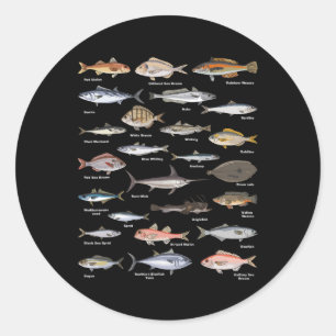Vintage Fish Identification Chart Fishing  Classic Round Sticker