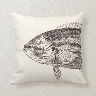 Vintage Fish Illustration Head and Tail Cushion