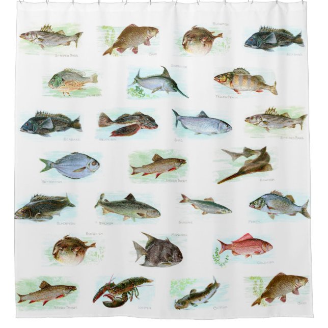 Vintage Fish Illustrations Shower Curtain (Front)