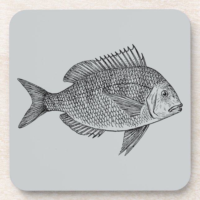 Vintage fish nautical marine art illustration coaster (Front)