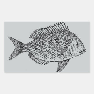 Vintage fish nautical marine art illustration rectangular sticker